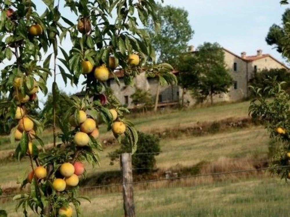 Poggio a Poppi