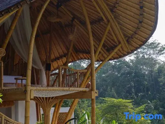 Wiwaka Bamboo House