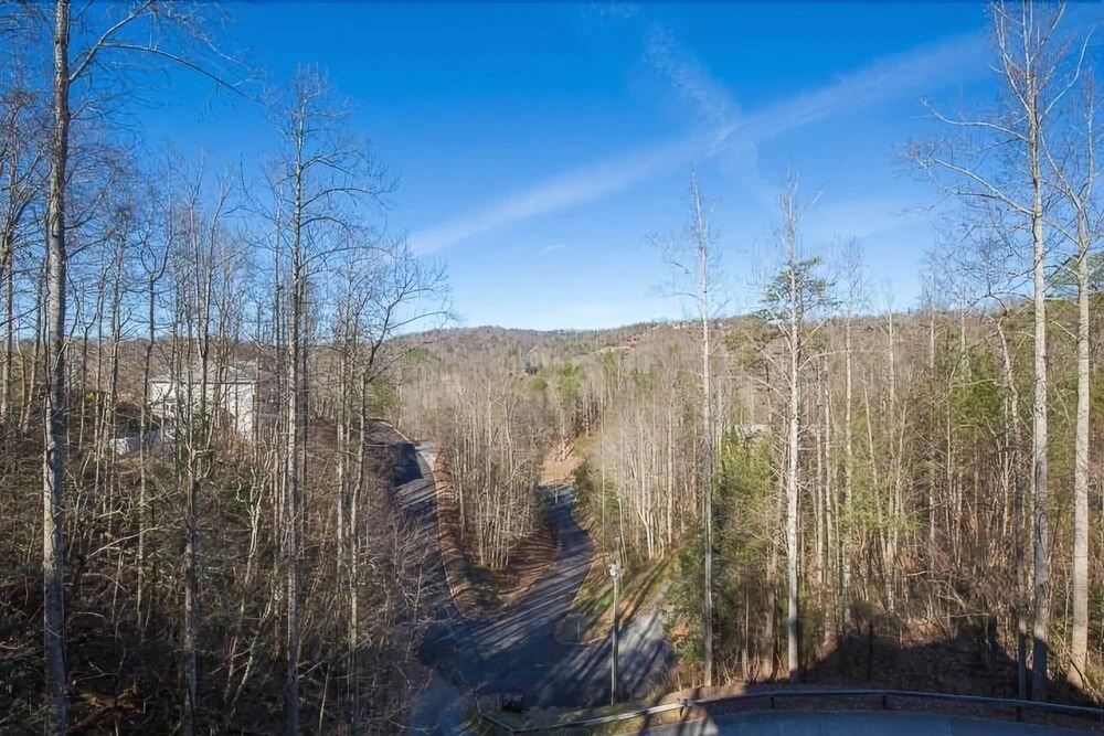Apple Bear Lodge - Four Bedroom Cabin