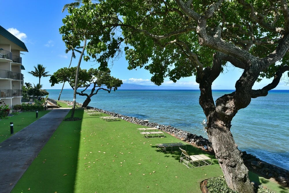 Kahana Reef 201 1 Bedroom 1 Bathroom Apts