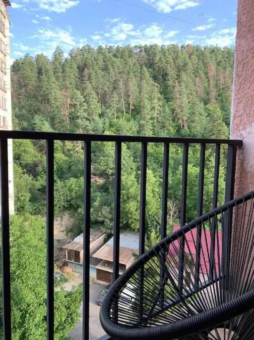 Cozy apartment in Borjomi with beautiful view