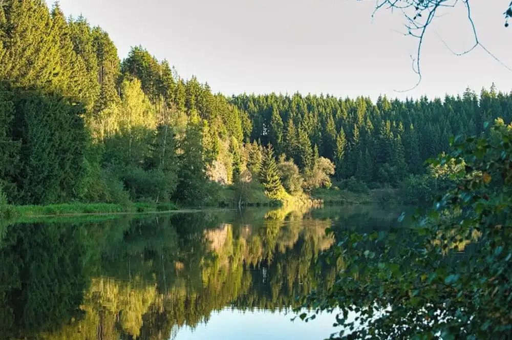 Your Holiday Home With a Fireplace in the Harz Mountains