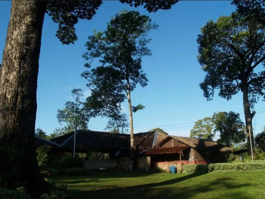 Borneo Proboscis River Lodge