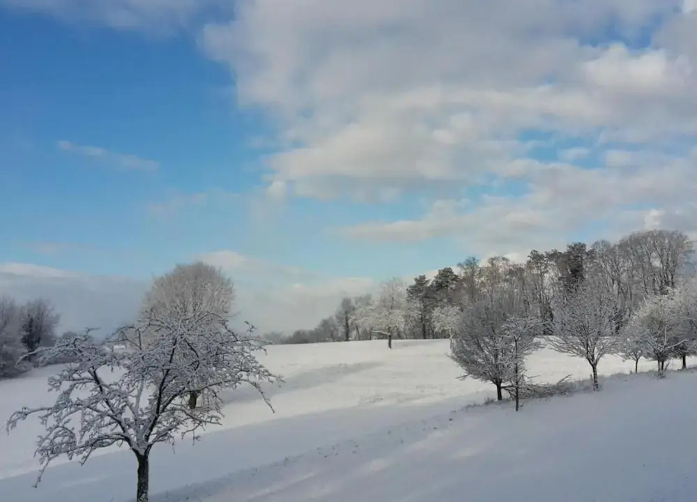 Holiday Home in Herbolzheim