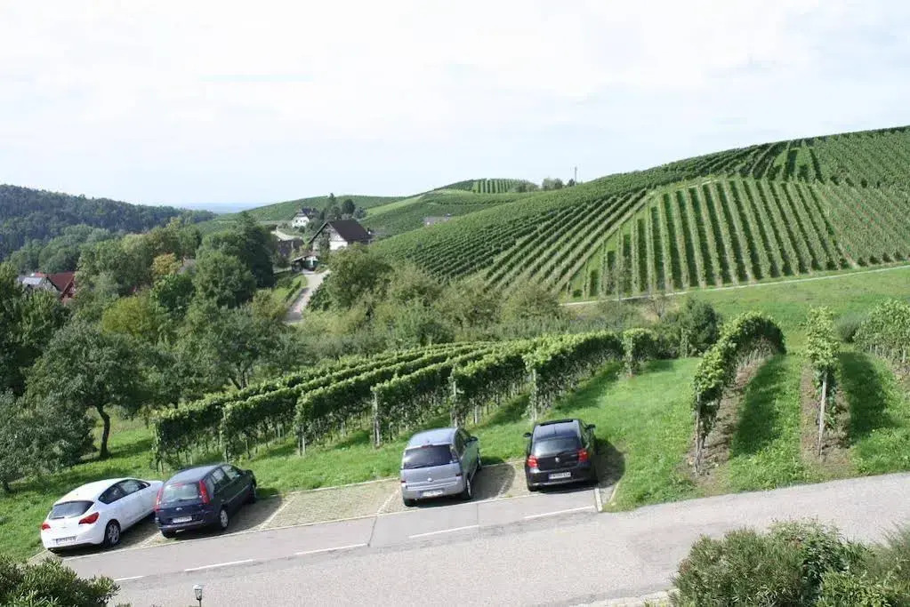 Pension am Weinberg