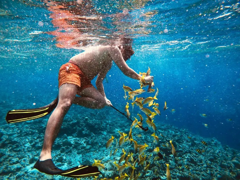 Niru Isle Maldives