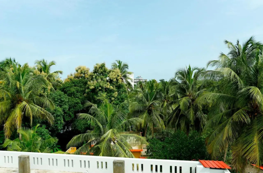 Orionis Kannur