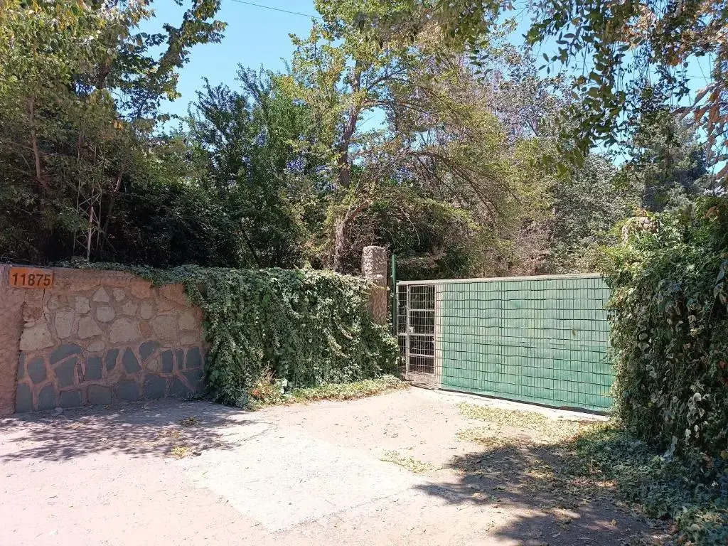 Cabaña El Tiempo Es Arte
