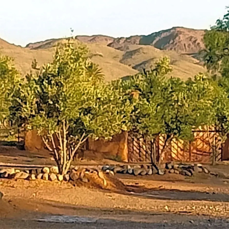 Lescale De Ouarzazate