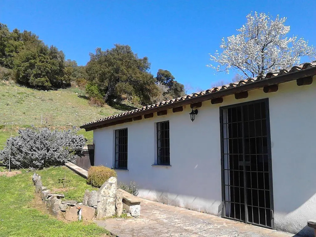 B&B I Menhir