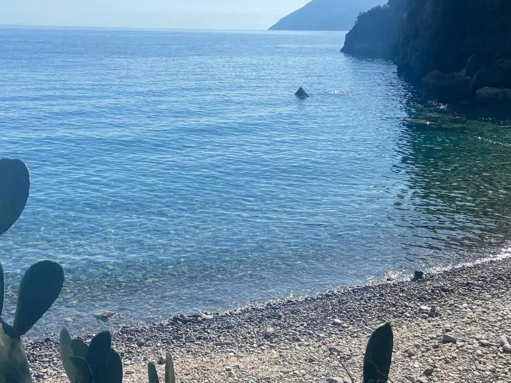 Villa "mare" - Suspended Over the sea