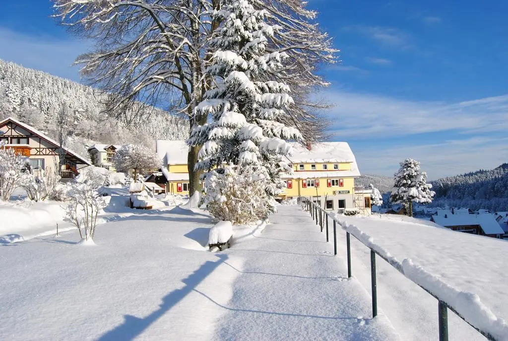 Gasthof-Pension Berghof