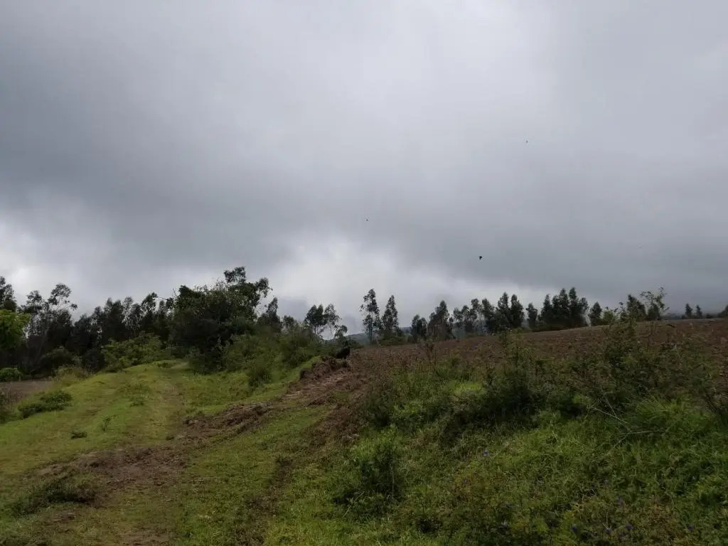 Hacienda San Isidro Trails & Experiences