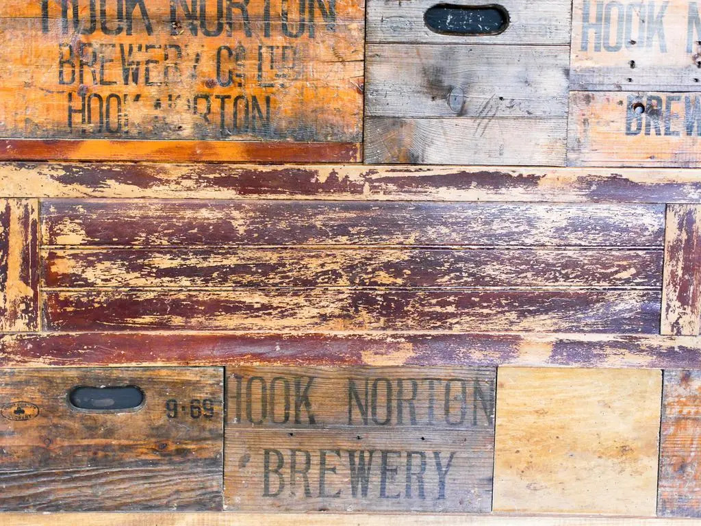 The Fox