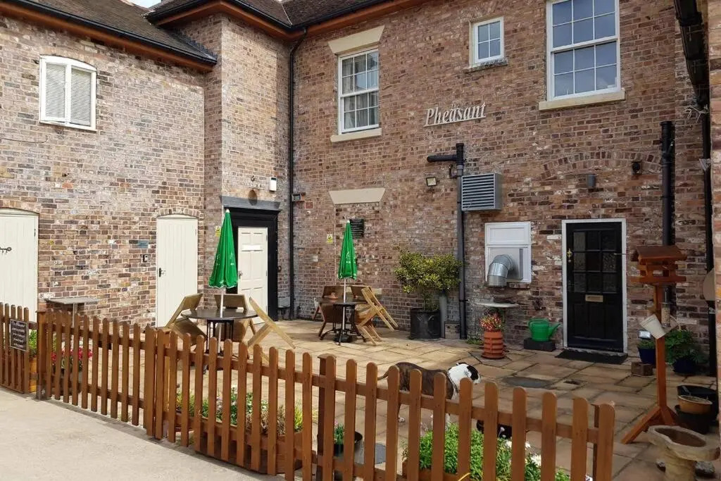 Willow Studio