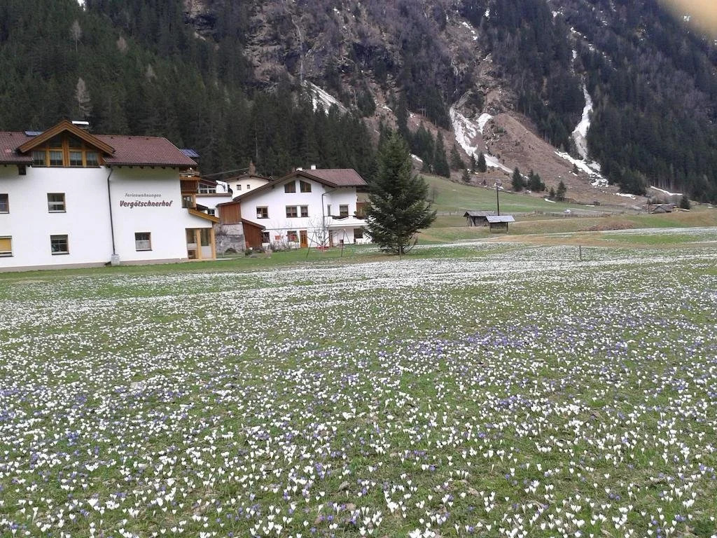 Vergötschnerhof