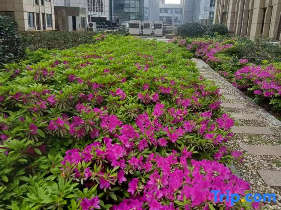 Zhangjiagang Qianxi Hotel (Zhangjiagang  Shopping Park)