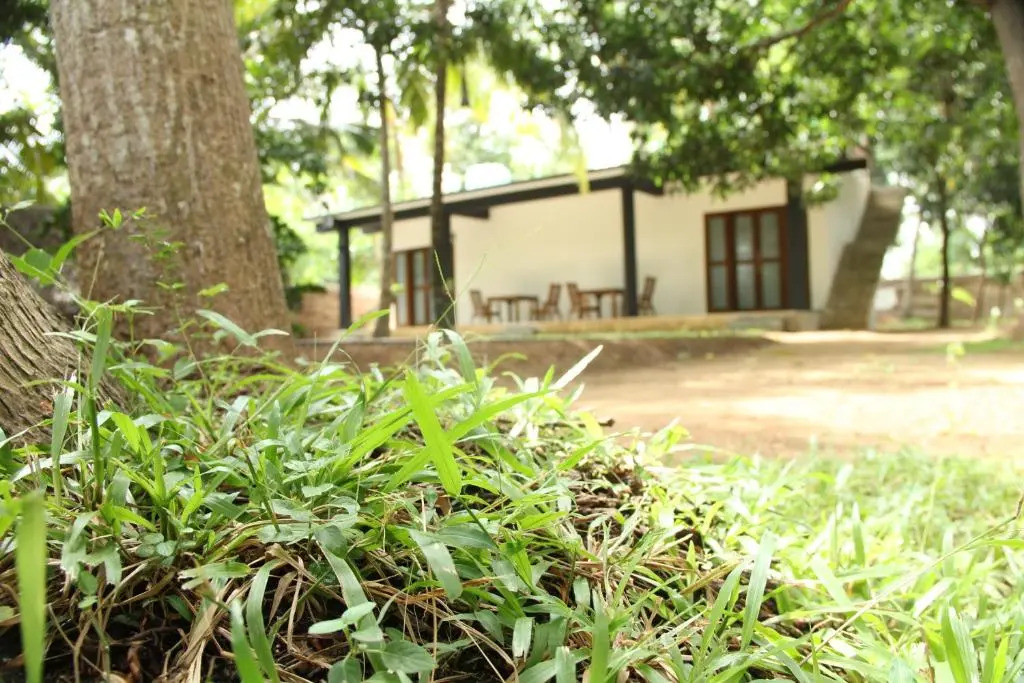 Ariya Tissa