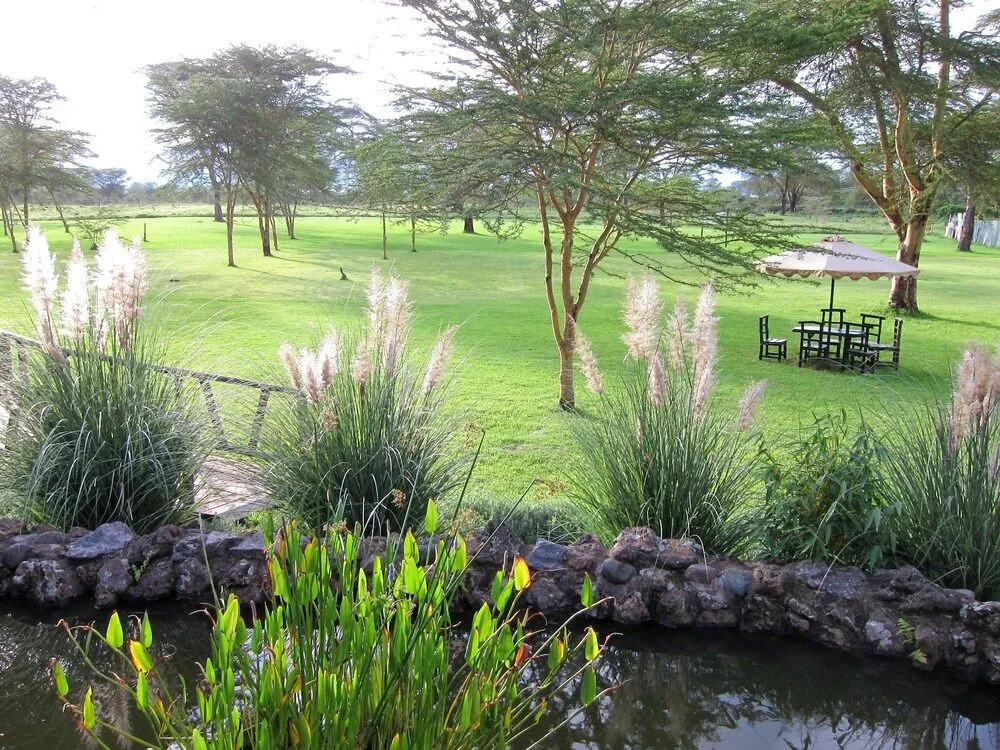 Sawela Lodge