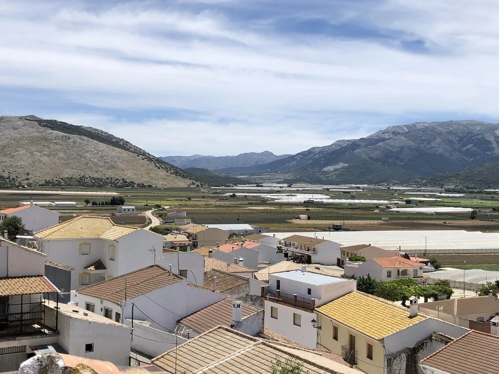 Casas De Tita-Elvira