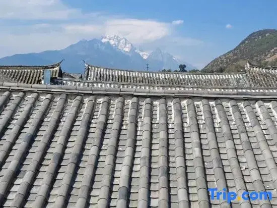 Xingxing Suxu · Snow Mountain Scenic Beauty Stay (The Old Town of Lijiang)