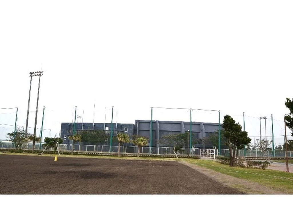 Pure Court II