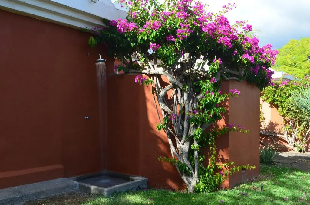 The Peaches Bungalows 45 & 46