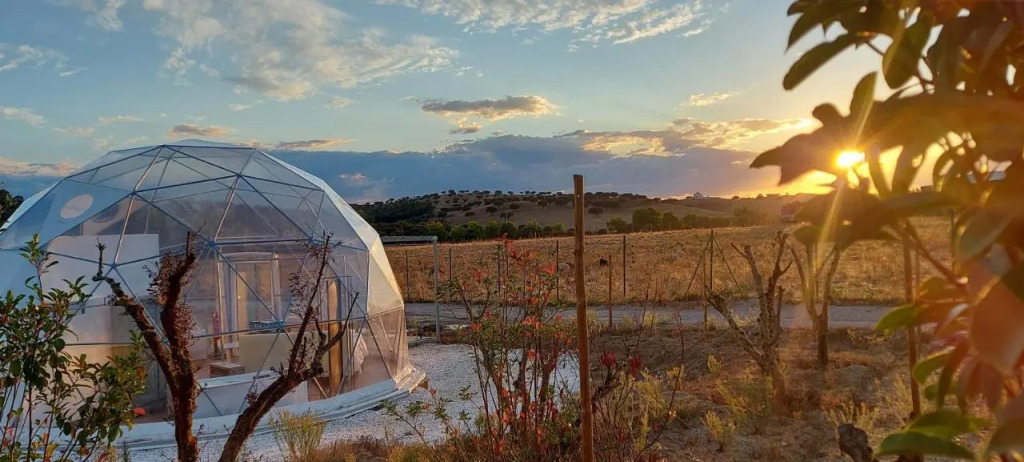 Glamping Skies