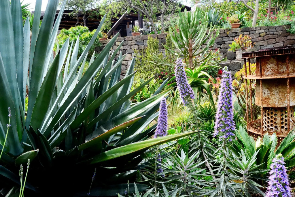 Casa Dei Fiori - Dammuso Plumbaco