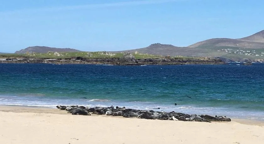 Torann Na Dtonn