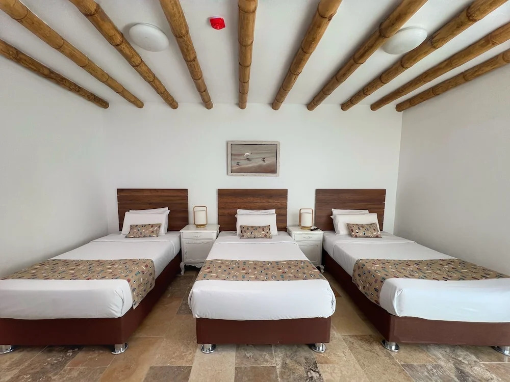 Atoq Paracas Reserva