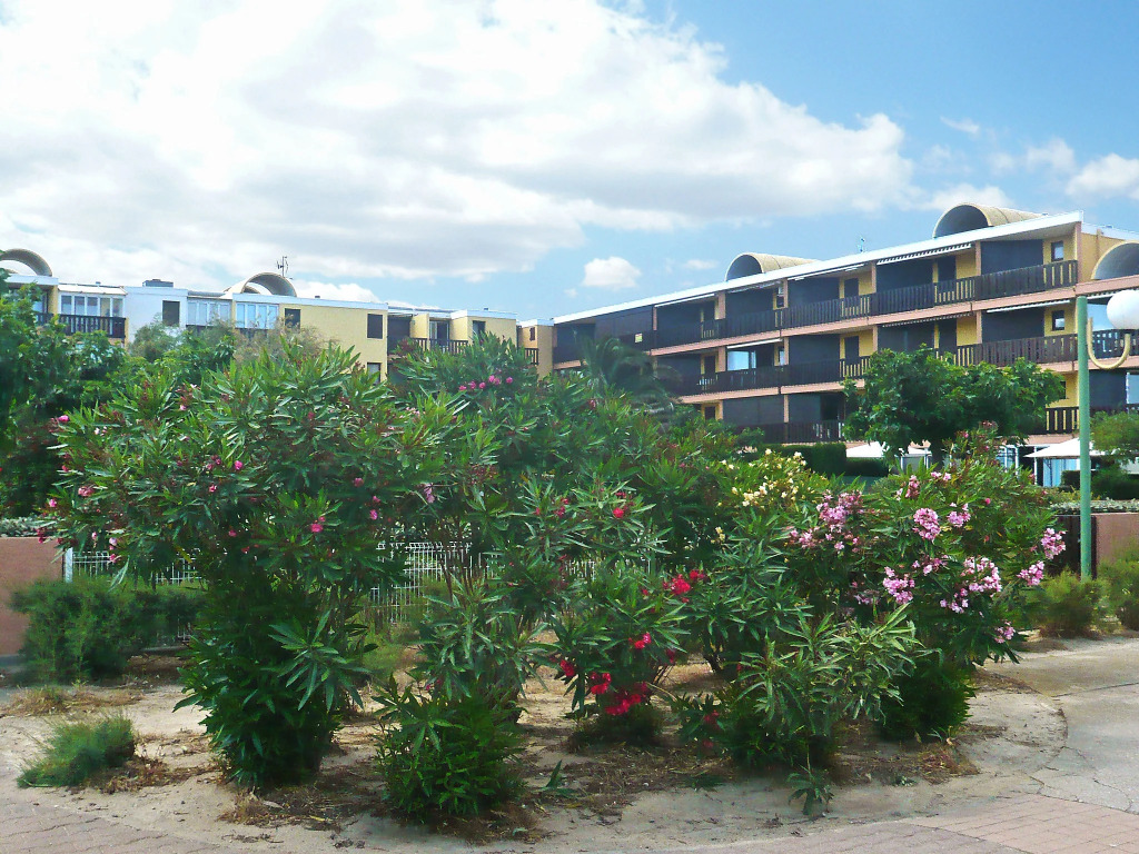 Apartment Gruissan Plage by Interhome