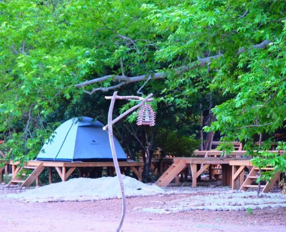 Camp Meeting Point