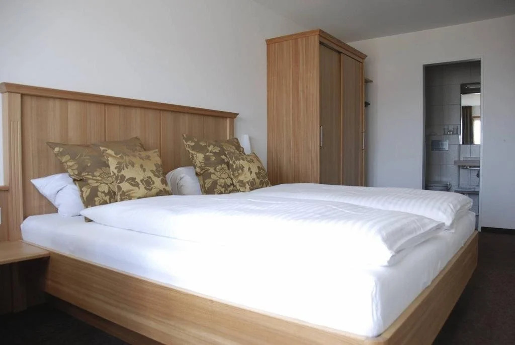 Hotel Alpina