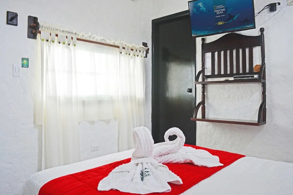 Hostal Cann's House