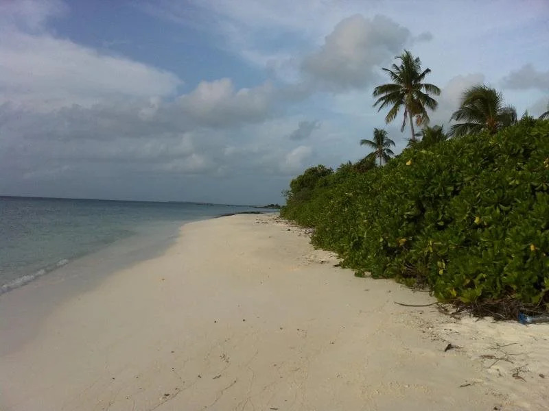 Roashanee Guest House