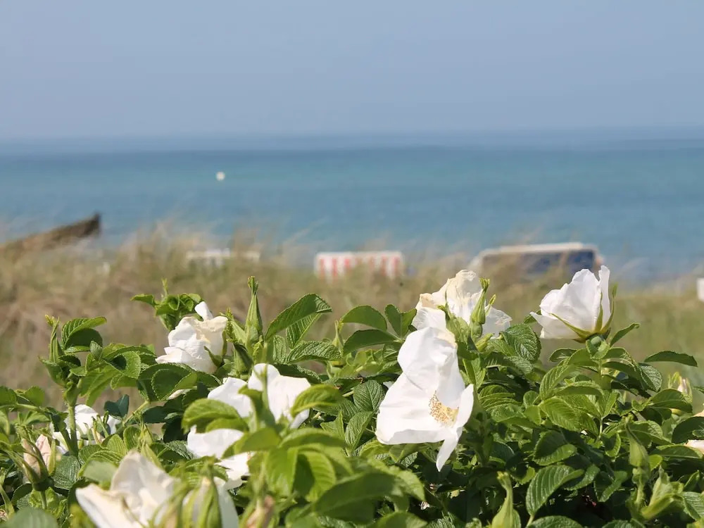 Quaint Holiday Home in Insel Poel on Island Poel