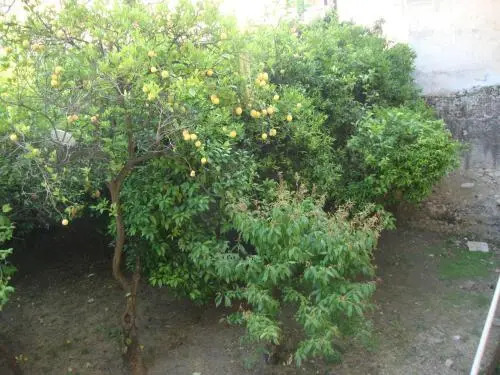 Anfiteatro apartment