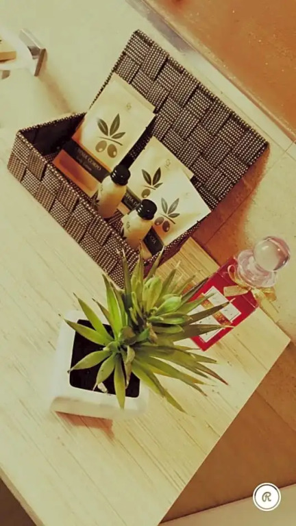 B&B L'Ulivo
