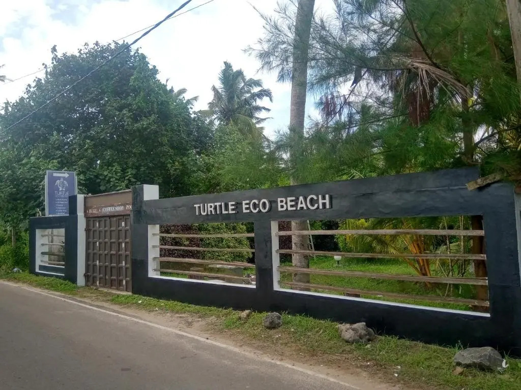 Turtle Eco Beach