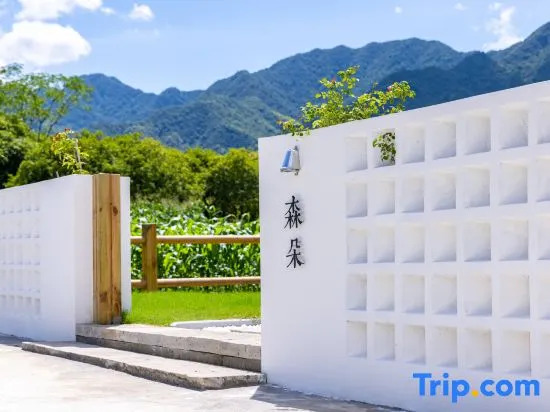 Senduo·Tonglu Designer Vacation Stay DB&B