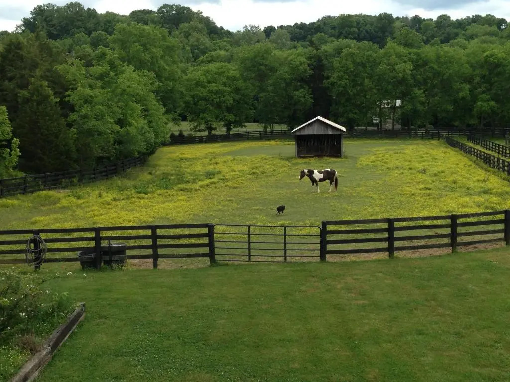 Full Circle Farm Inn