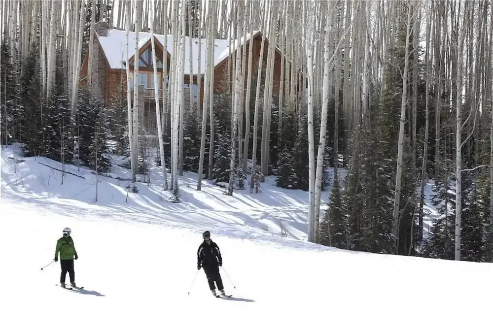 Snowdrift Cabin