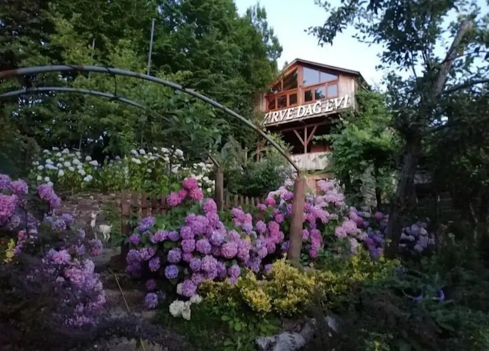 Zirve Dağ Evi