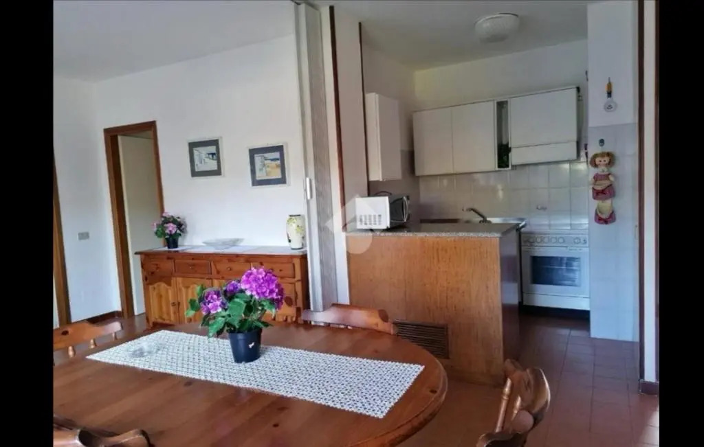 Appartamento Franca in residence 300mt dal mare
