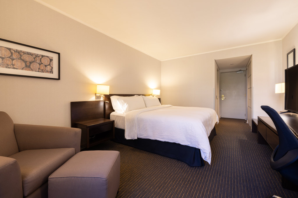Holiday Inn Express - Temuco by IHG
