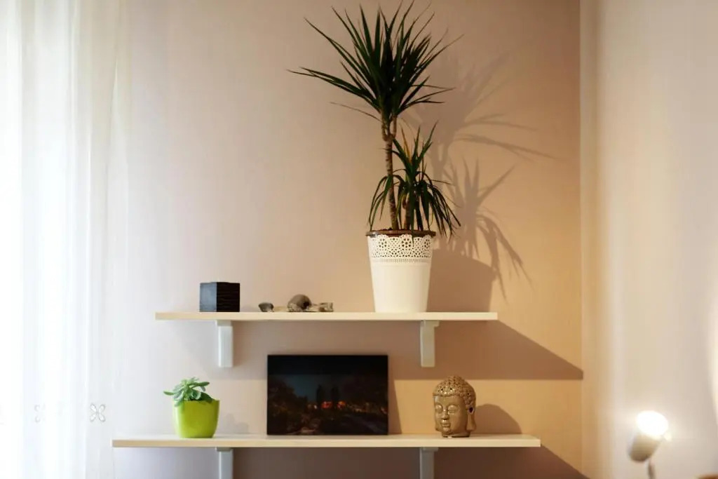 Apartment Belleza