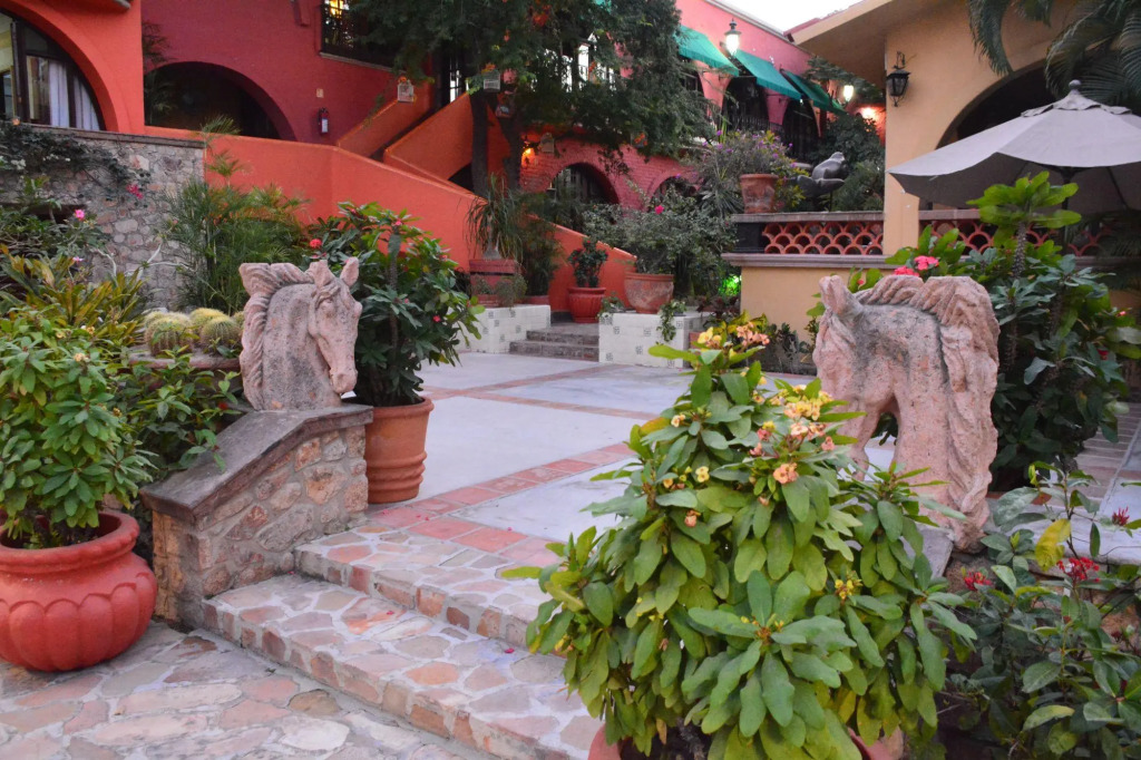 Collection O Casa Bella Hotel Boutique, Cabo San Lucas