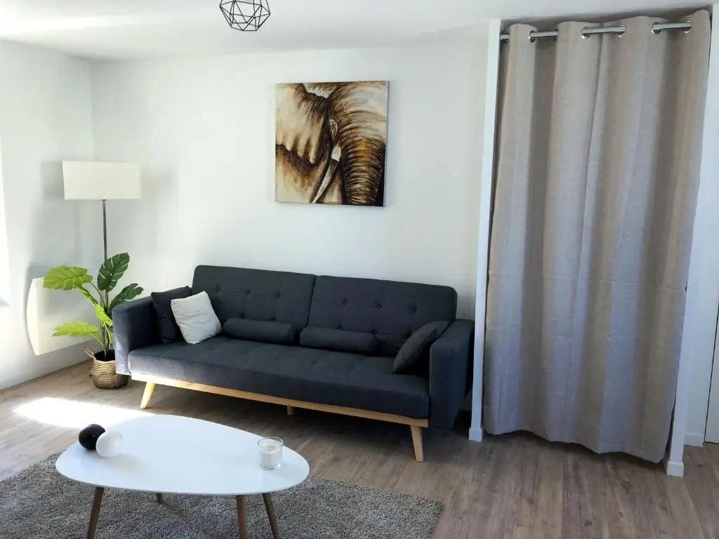 Magnifique appartement lumineux