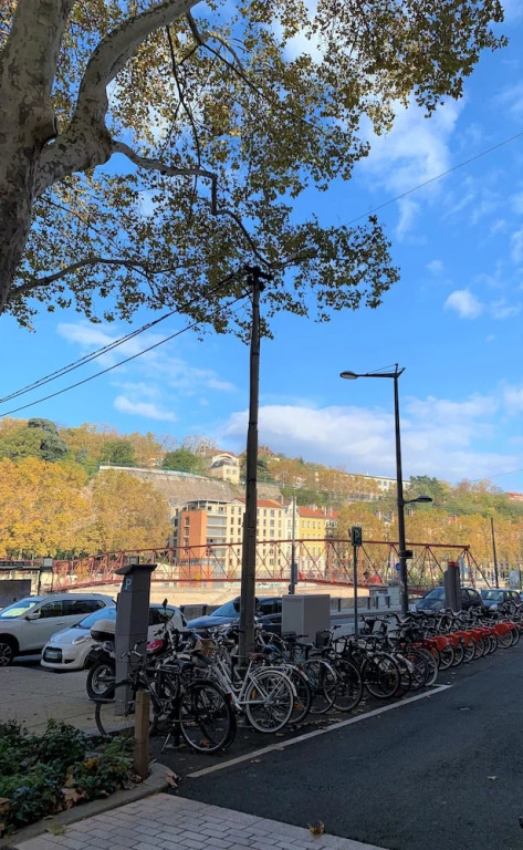 Appart de Charme proximité du Vieux Lyon
